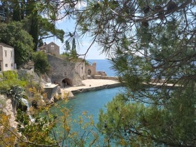 Dubrovnik Botanical Garden Tour – Views, History & Nature in 5 Hours