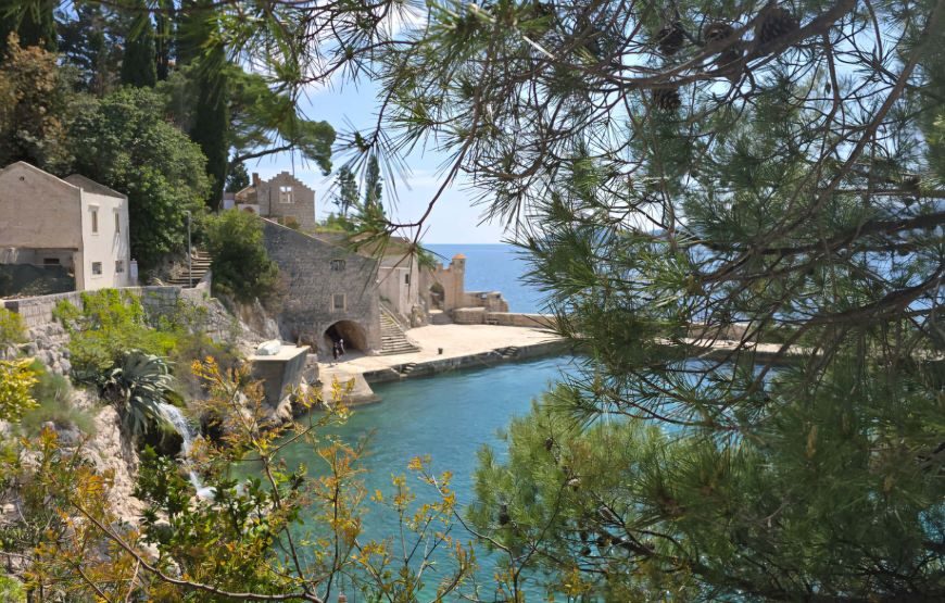 Dubrovnik Botanical Garden Tour – Views, History & Nature in 5 Hours