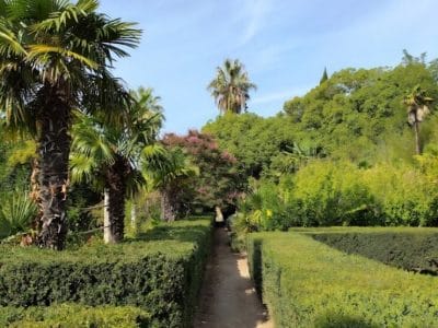 Dubrovnik Botanical Garden Tour – Views, History & Nature in 5 Hours