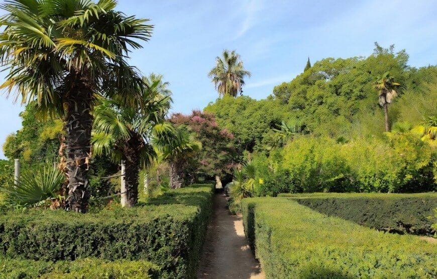 Dubrovnik Botanical Garden Tour – Views, History & Nature in 5 Hours