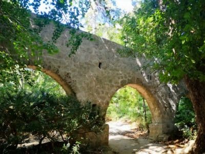 Dubrovnik Botanical Garden Tour – Views, History & Nature in 5 Hours