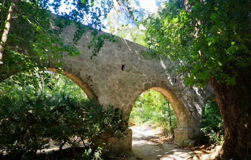 Dubrovnik Botanical Garden Tour – Views, History & Nature in 5 Hours