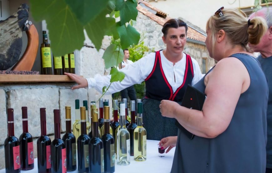 Dubrovnik Scenic Tour – Breathtaking Views & Dalmatian Lunch in 5 Hours
