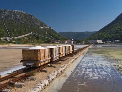 Ston Tour – Walls, Saltworks, Wine & Seafood in 1 Perfect Day