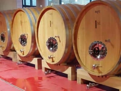 Ston Tour – Walls, Saltworks, Wine & Seafood in 1 Perfect Day