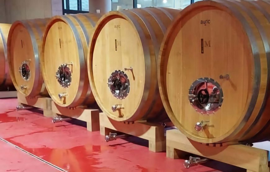 Ston Tour – Walls, Saltworks, Wine & Seafood in 1 Perfect Day