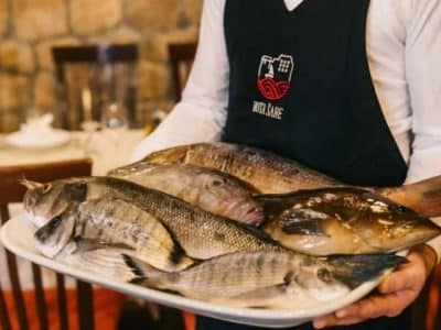 Ston Tour – Walls, Saltworks, Wine & Seafood in 1 Perfect Day