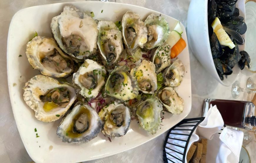 Ston Tour – Walls, Saltworks, Wine & Seafood in 1 Perfect Day